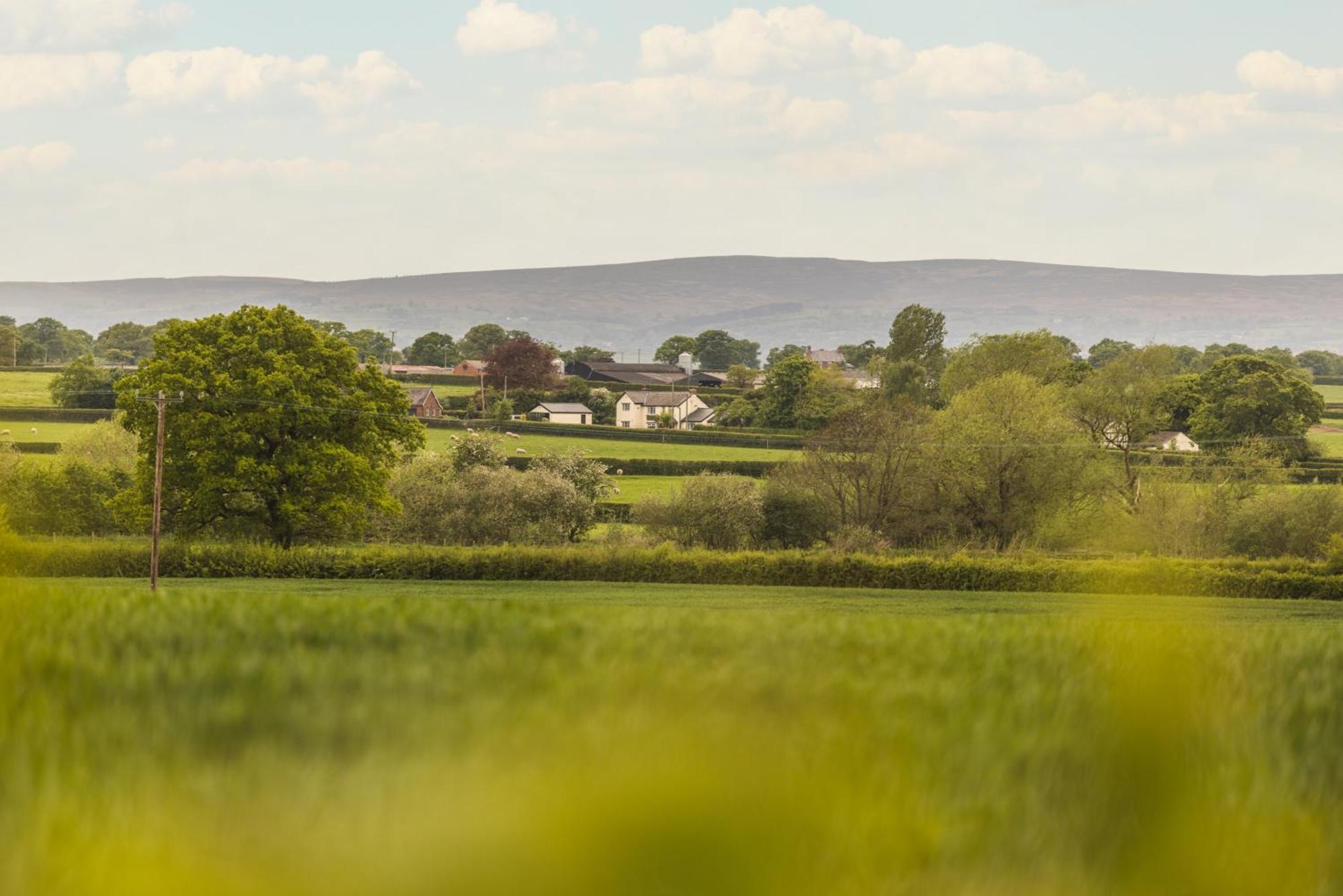 Mulsford Cottage Malpas  部屋 写真